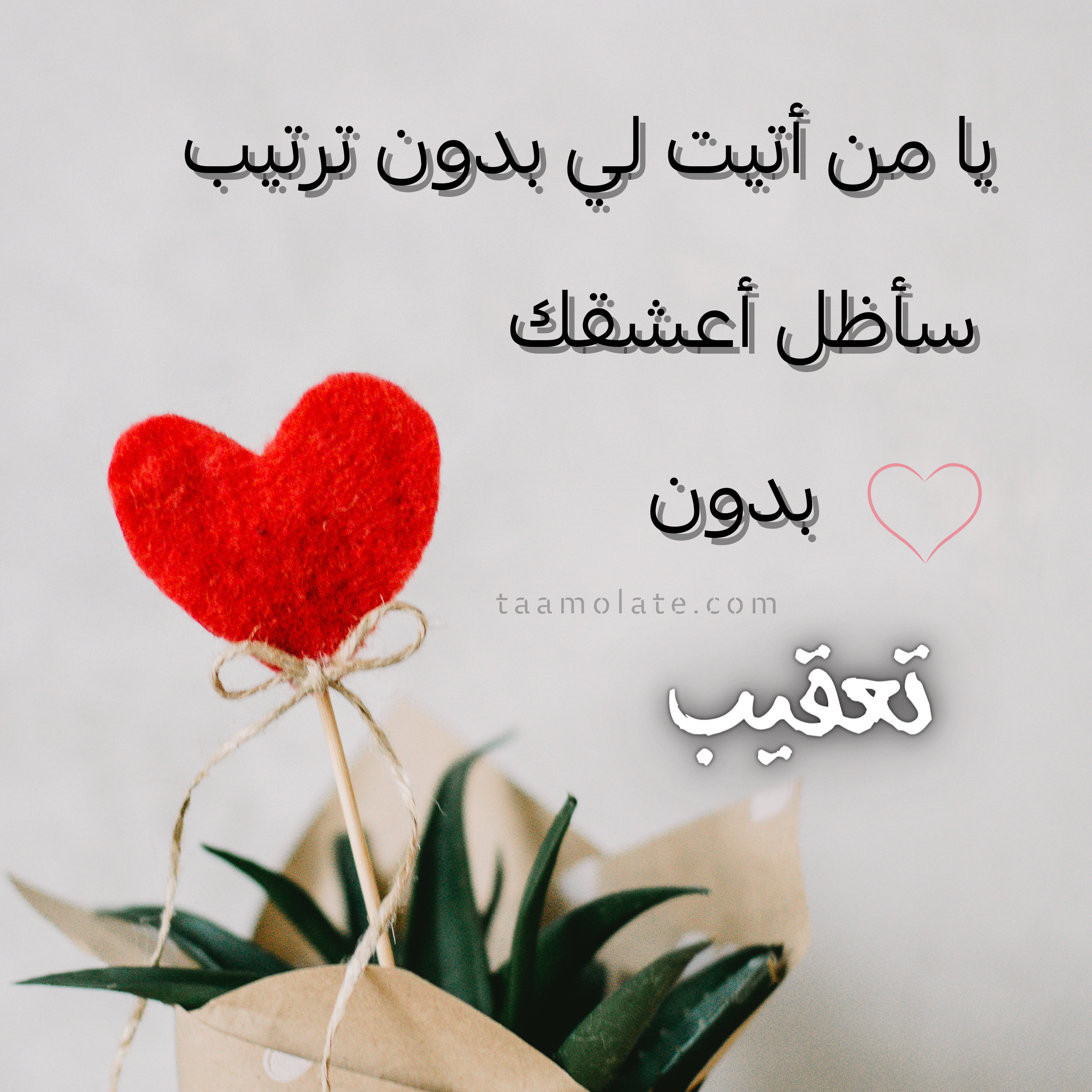 حالات واتس حب قوية كتابة